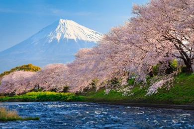 Mount Fuji Computer Wallpapers, Desktop Backgrounds