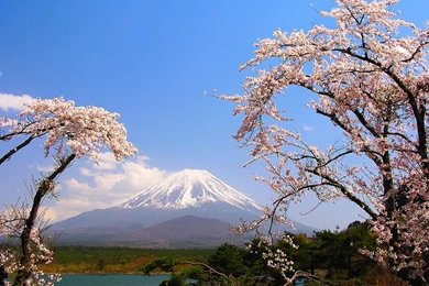 Mount Fuji Japan Widescreen Wallpapers
