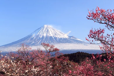 Japan Mount Fuji Wallpapers