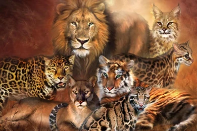Tiger Versus Lion Wallpapers   Android Apps On Google Play