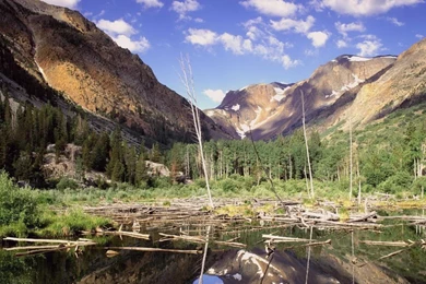 Best Wallpapers: Widescreen Wallpapers Hd Free Download