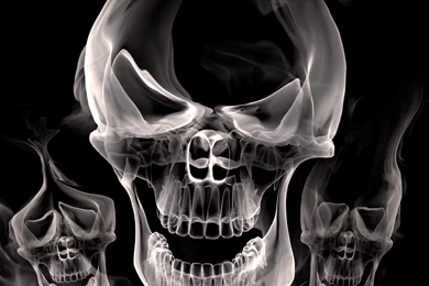 Cool 3d skull wallpapers 5