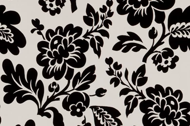 Black & White Floral Wallpapers