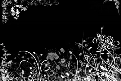 Black Flower Wallpapers   ImgMob
