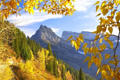 Annehathawaywallpaperiphone Wallpapers HD Resolution With HD ...