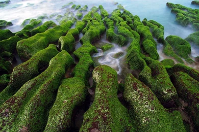 Official Windows7 Bing Theme Natural Scenery Wallpapers 2 ...