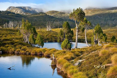 Official Windows7 Bing Theme Natural Scenery Wallpapers 10 ...