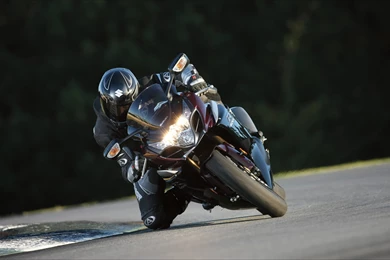 Magnificent Suzuki Gsxr 1000 Wallpapers