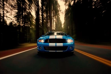Cars Ford Mustang 1920x1200 Wallpapers – Cars Ford HD Desktop Wallpapers