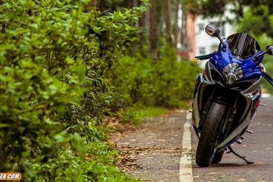 Top 09 Gsxr 1000 Wallpapers