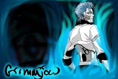 Grimmjow Wallpapers By Luffiexxx On DeviantArt