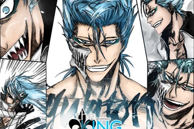 Grimmjow Wallpapers By KamuyAriela On DeviantArt