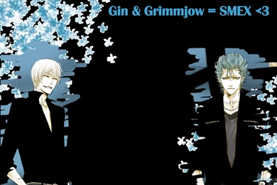 Gin And Grimmjow Wallpapers By ClairBear On DeviantArt