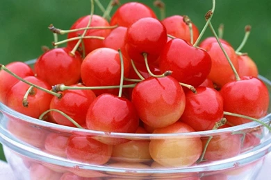 Cherry Wallpapers 1920x1080 Wallpapers, 1920x1080 Wallpapers ...