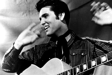 Elvis Presley In Concert