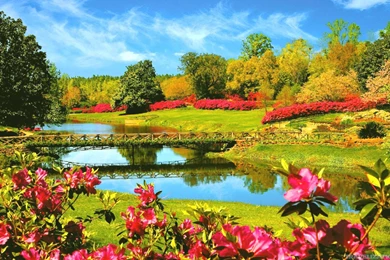 Extremely Awesome Natural Wallpapers