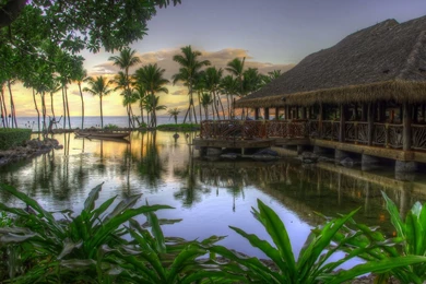 Best Nature Wallpapers Hd