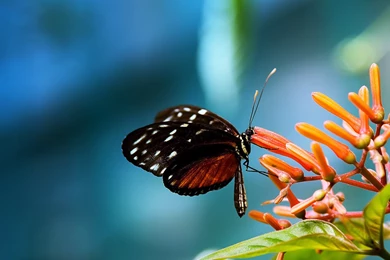 Wallpapers Car Accident View All Natural 1280x1024