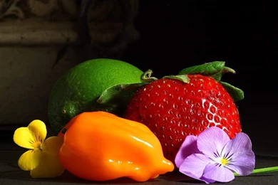 1024x768 Natural Relish Desktop PC And Mac Wallpapers