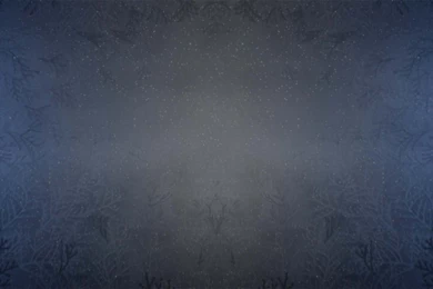 Dance: Stretch Like A Dancer: San Francisco Ballet