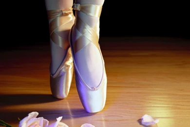 Ballet Quotes Wallpapers   Album On Quotesvil.com