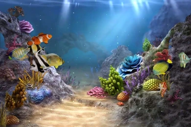 Under Sea Wallpapers Full HD