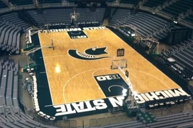 Michigan State Spartans. GO GREEN On Pinterest