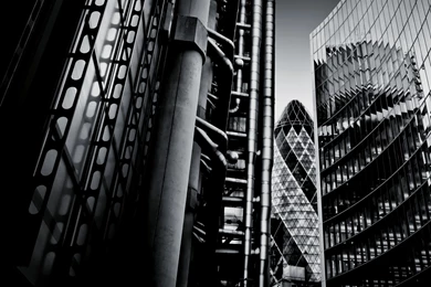 Black And White Metropolis Wallpaper, An Evolutionary Basis For ...