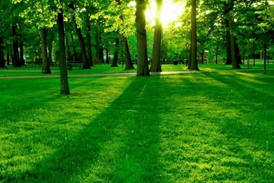 Cool Wallpapers Sites   Wallpapers High Definition