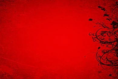 Free Images Sites   Widescreen HD Wallpapers