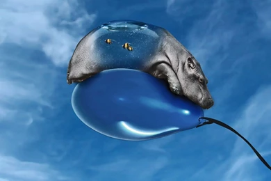 Beautiful 3D Wallpapers