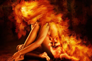 3d Wallpapers Butterfly Hd Wallpapers ›› Page 0