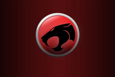 82 Thundercats HD Wallpapers