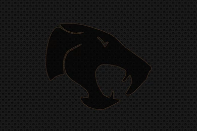 Thunder Cats Logo Wallpapers