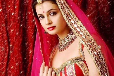 Diya Mirza In Saree Photo