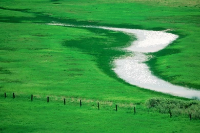 Beautiful Latest 2013 Wide Desktop Backgrounds