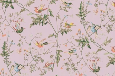 DecoratorsBest   Bird Wallpapers