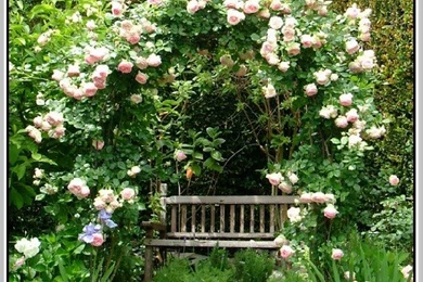 Pierre Deux Wallpapers