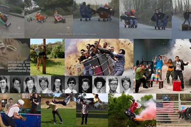 Jackass Wallpapers By Harvy355 On DeviantArt