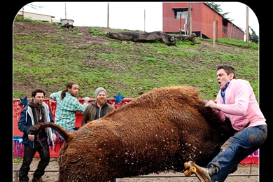 Download Wallpapers, Download 1920x1440 Movie Posters Jackass 3d ...