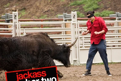 Jackass Number Two Wallpapers 1920x1200 Wallpapers, 1920x1200 ...