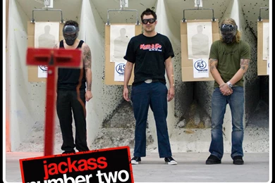 Jackass Number Two Wallpapers 1280x1024 Wallpapers, 1280x1024 ...