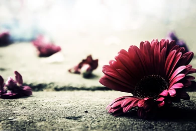 Share Your Wallpapers   Page 962