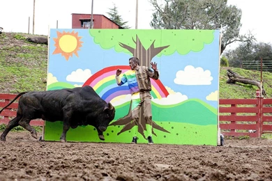 JACKASS JOHNNY KNOXVILLE WALLPAPER   (