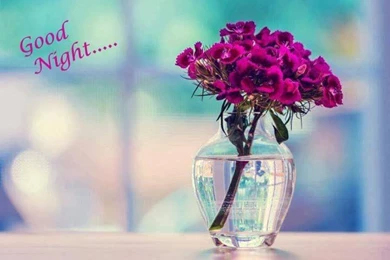 Good Night Images For Whatsapp [Top 101+]