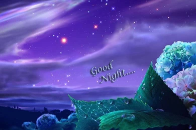 Cool Lovely Good Night Wallpapers 2015   Awesome Free HD Wallpapers
