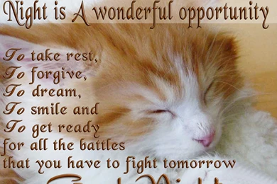 Good Night Greetings Quotes Wishes Hd Wallpapers Free Download ...