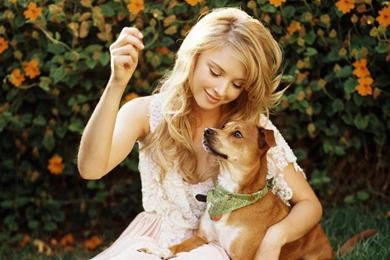 Elisabeth Harnois   Elisabeth Harnois Wallpapers (10228886)   Fanpop