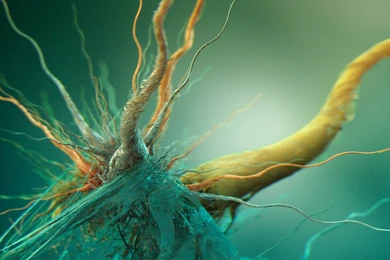 D4chanpapers   Revision 42: /trunk/Just Awesome