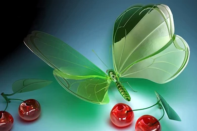 Desktop Wallpapers Gallery Windows 7 Plastic Butterfly Free